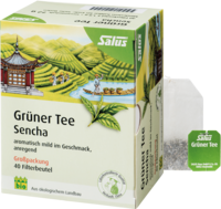 GRÜNER TEE Bio Salus Filterbeutel Großpackung