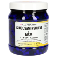 GLUCOSAMINSULFAT+MSM 1:1 Kapseln