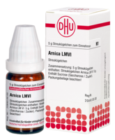 ARNICA LM VI Globuli