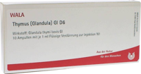 THYMUS GLANDULA GL D 6 Ampullen