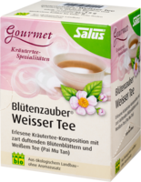 WEISSER TEE Blütenzauber Bio Salus Filterbeutel