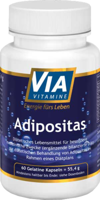 VIAVITAMINE Adipositas Kapseln