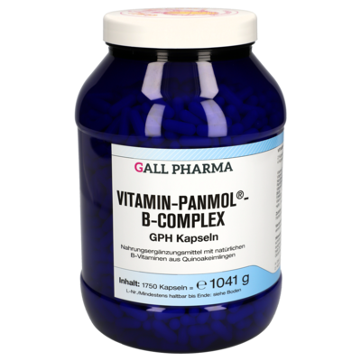 VITAMIN-PANMOL-B-Complex GPH Kapseln