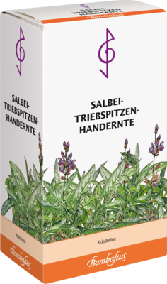 SALBEI TRIEBSPITZEN Tee Handernte