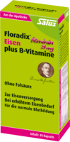 FLORADIX Eisen plus B-Vitamine Kapseln