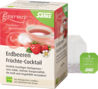 ERDBEEREN Früchtecocktail Salus Filterbeutel