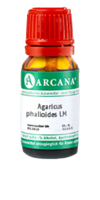 AGARICUS PHALLOIDES LM 8 Dilution