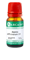 ALPINIA OFFICINARUM LM 10 Dilution