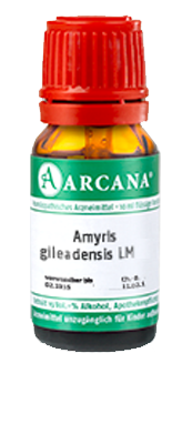 AMYRIS gileadensis LM 2 Dilution