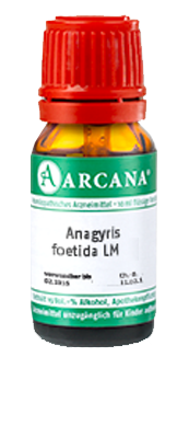 ANAGYRIS foetida LM 2 Dilution