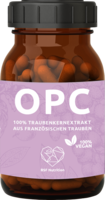 BSF Nutrition OPC 100% Traubenkernextr.100% vegan